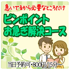 ピンポイントお急ぎ解決コース